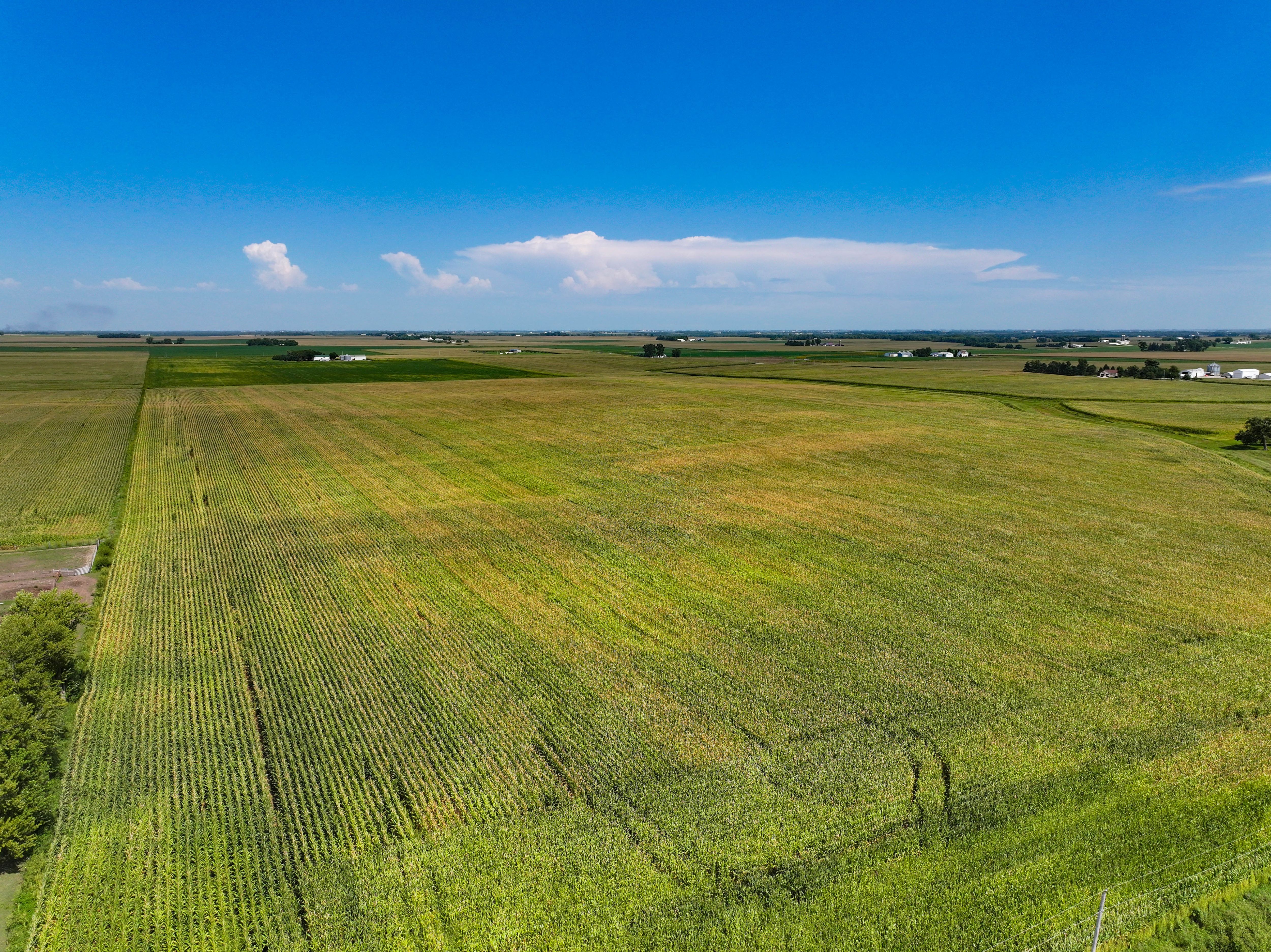 Listing Photo: 7_Black Hawk Co Farmland For Sale